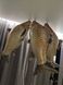 Кулька фольгована Карась Риба 77*48см 345345345435 фото 3