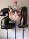Шарик фольгированный Кот недоволен Party Face с гелием 74см Grabo 8055513352605 фото 2