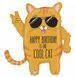 Кулька фольгована Кіт Cool Cat з гелієм 66см Grabo 8055513356795 фото 1